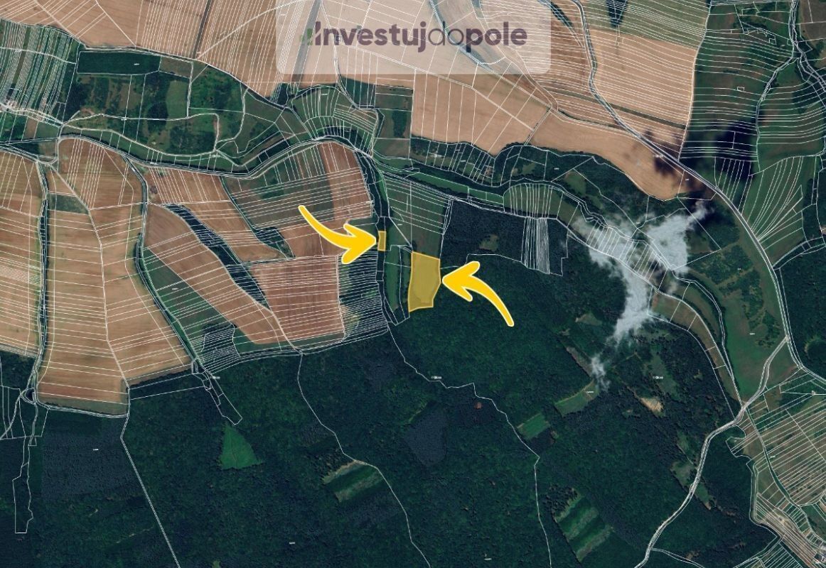 Prodej louka - Částkov, 5 051 m²