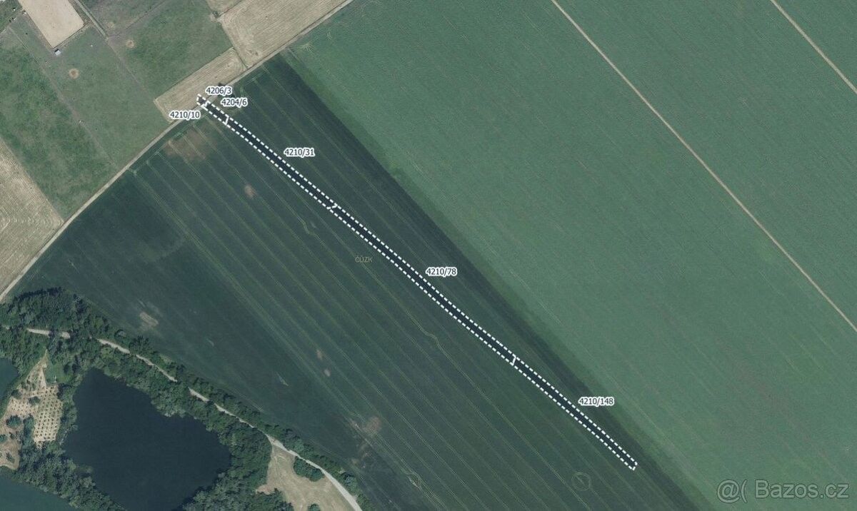 Prodej zemědělský pozemek - Moravská Nová Ves, 691 55, 12 062 m²
