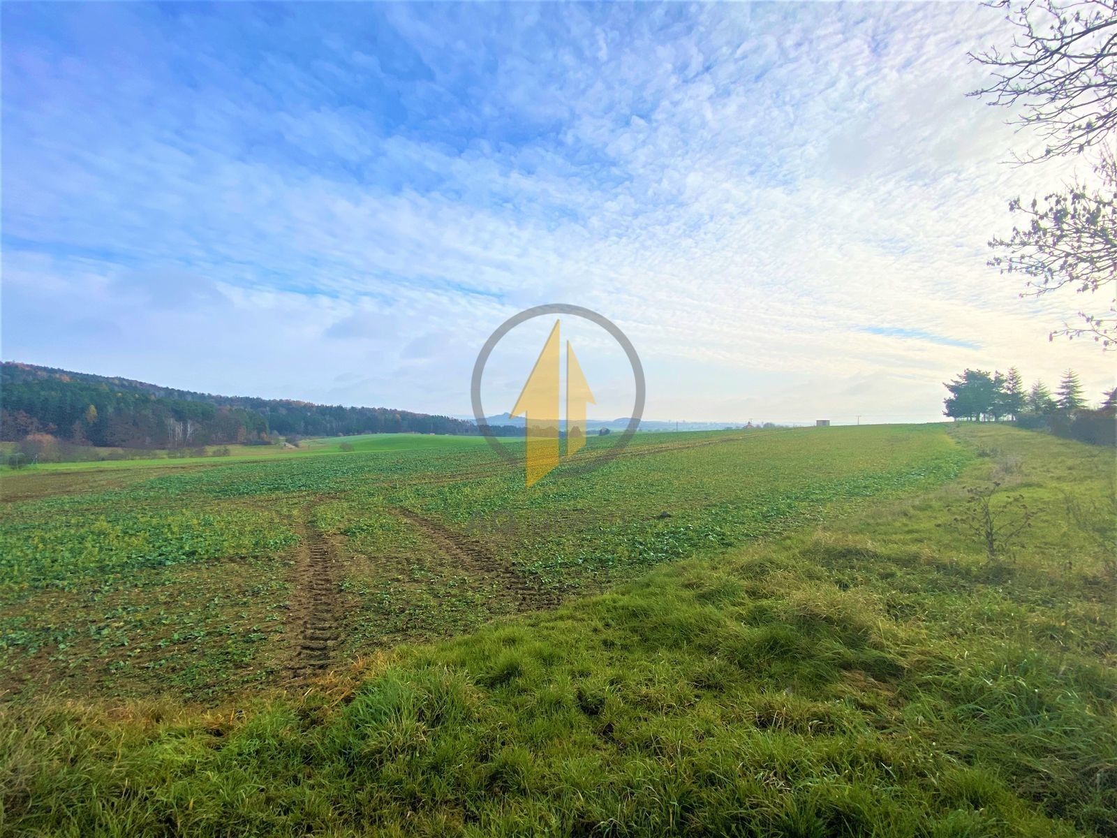 Prodej zemědělský pozemek - Prachov, Holín, 9 316 m²