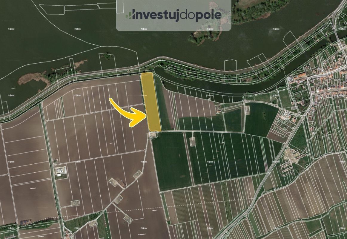 Prodej zemědělský pozemek - Dolní Věstonice, 3 751 m²
