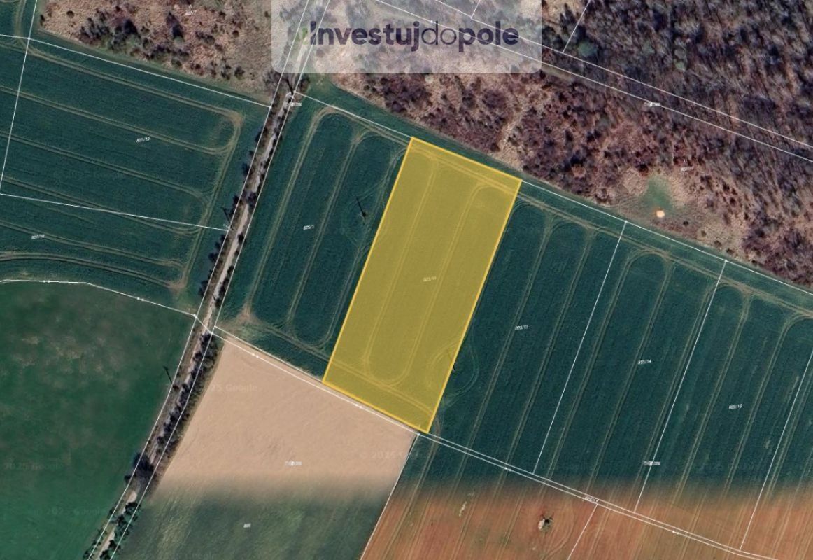Zemědělské pozemky, Čenětice, Křížkový Újezdec, 9 205 m²