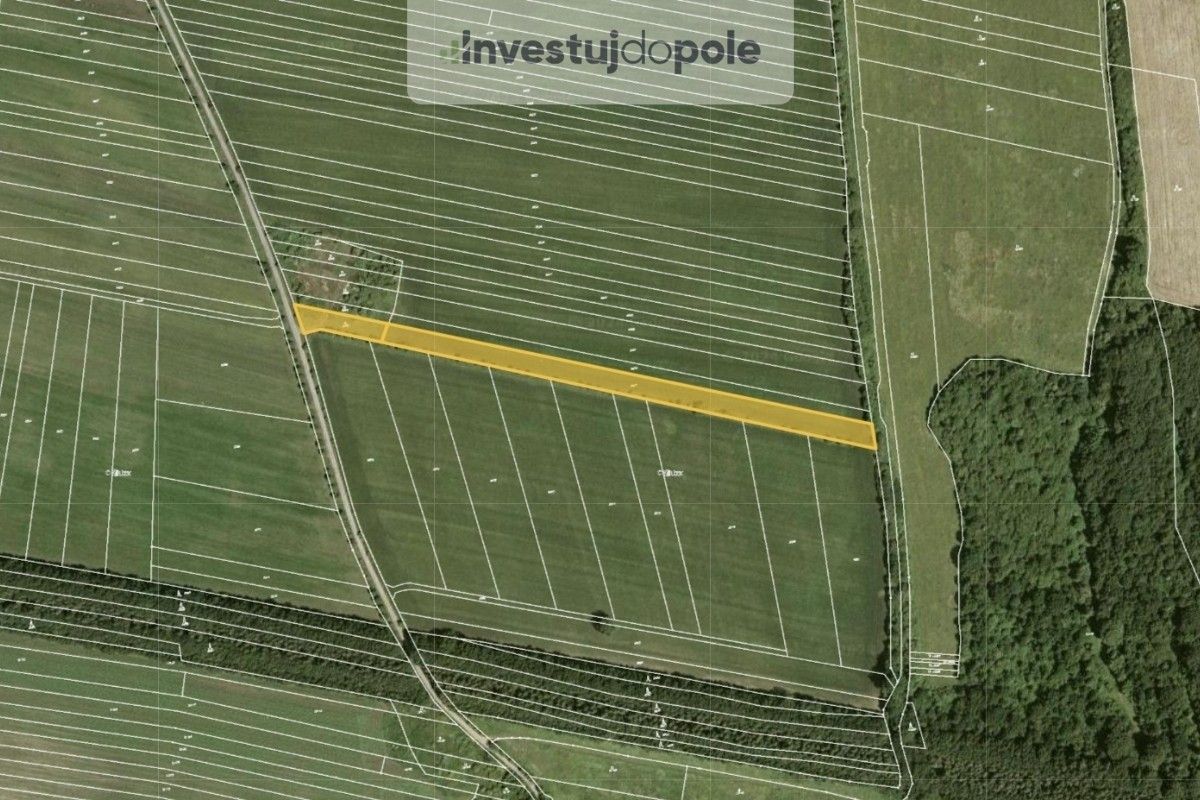 Zemědělské pozemky, Javorník, 6 579 m²