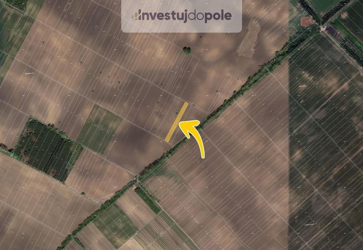 Prodej zemědělský pozemek - Hrušky, 1 483 m²