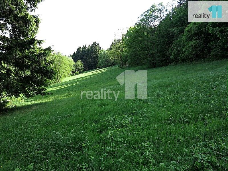 Rodinné domy, Světlá pod Ještědem, 176 m²