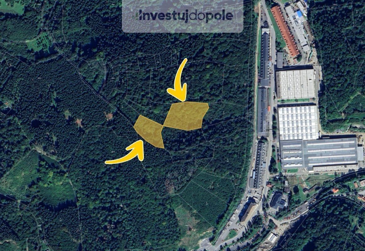 Prodej les - Vsetín, 11 175 m²