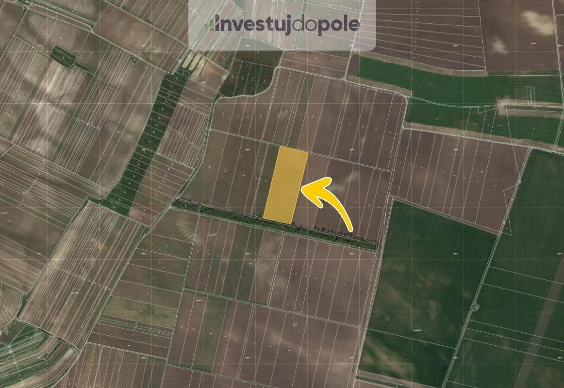 Prodej zemědělský pozemek - Novosedly, 31 401 m²