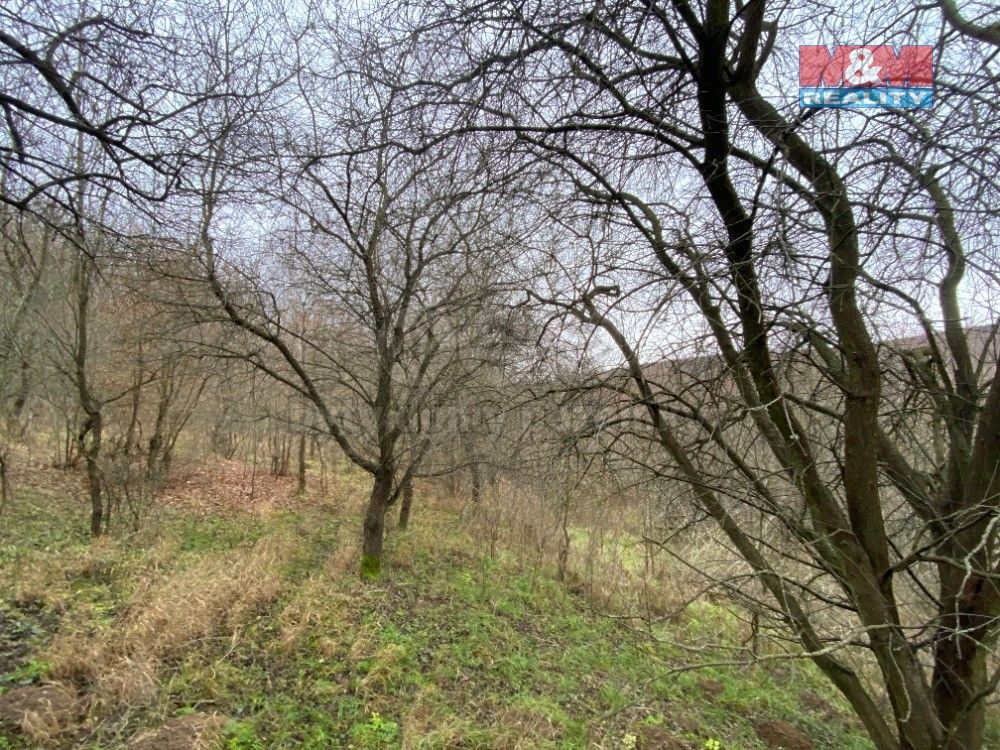Prodej zemědělský pozemek - Bohuslavice u Zlína, 763 51, 11 619 m²
