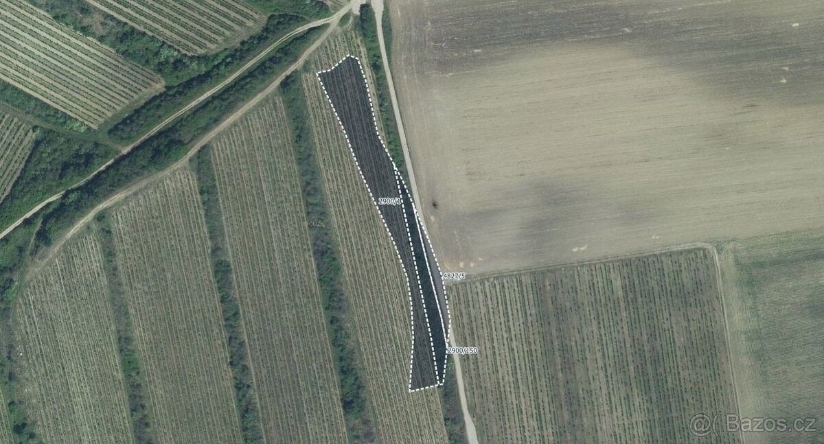 Zemědělské pozemky, Čejkovice, 696 15