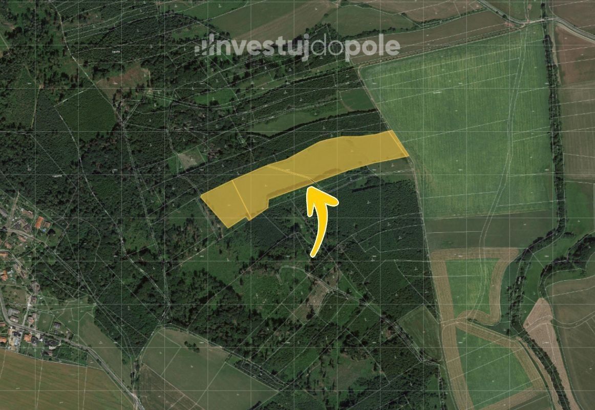 Prodej louka - Velký Vřešťov, 34 909 m²