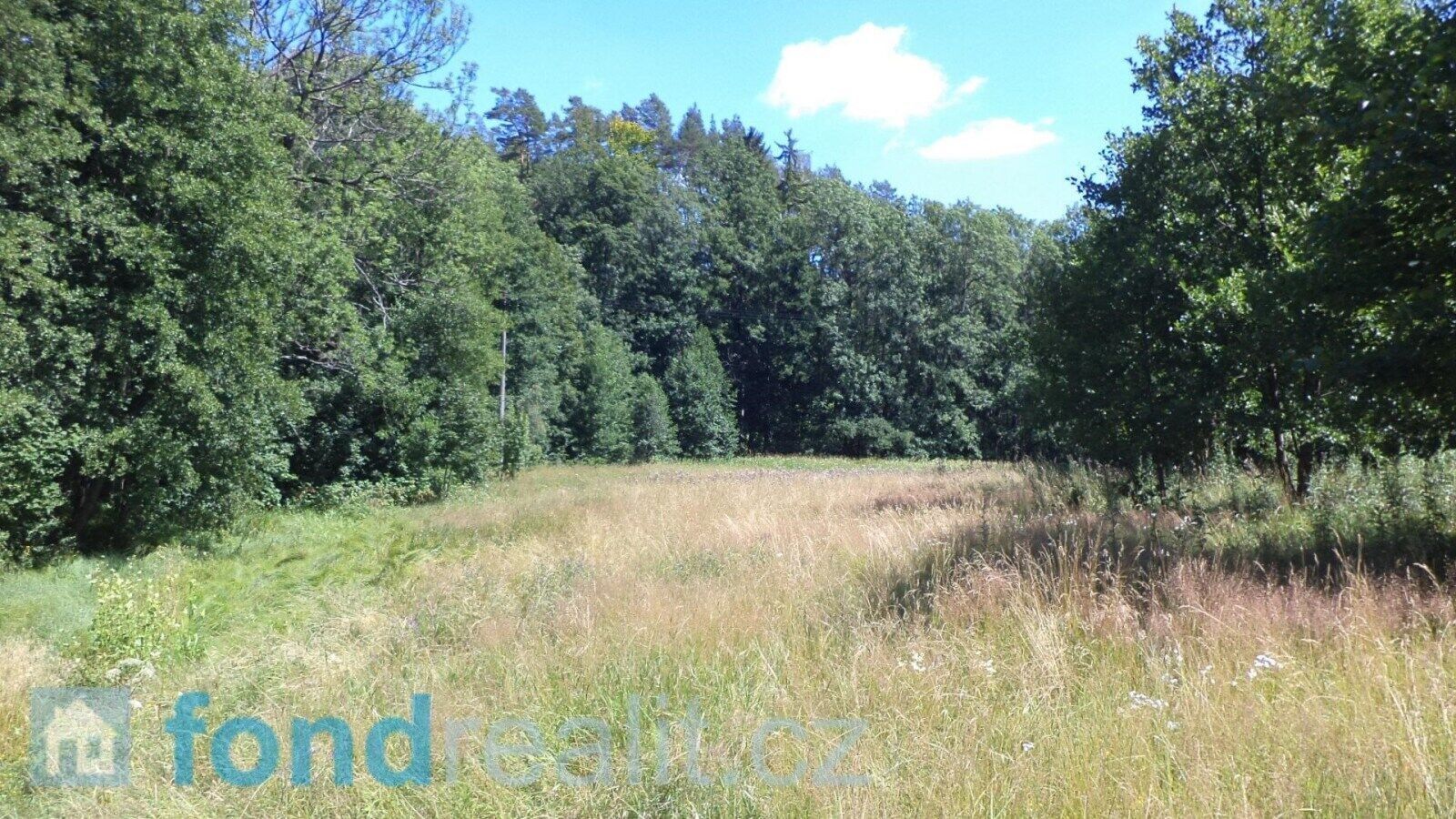 Prodej pozemek - Mařenice, 19 744 m²