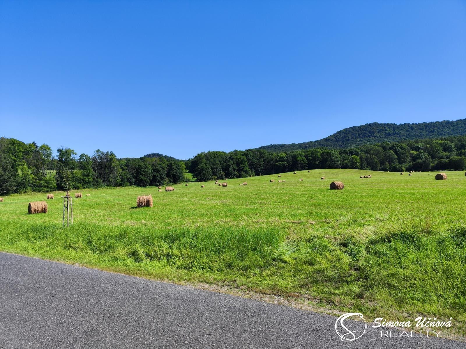 Prodej louka - Dolní Týnec, Třebušín, 74 552 m²