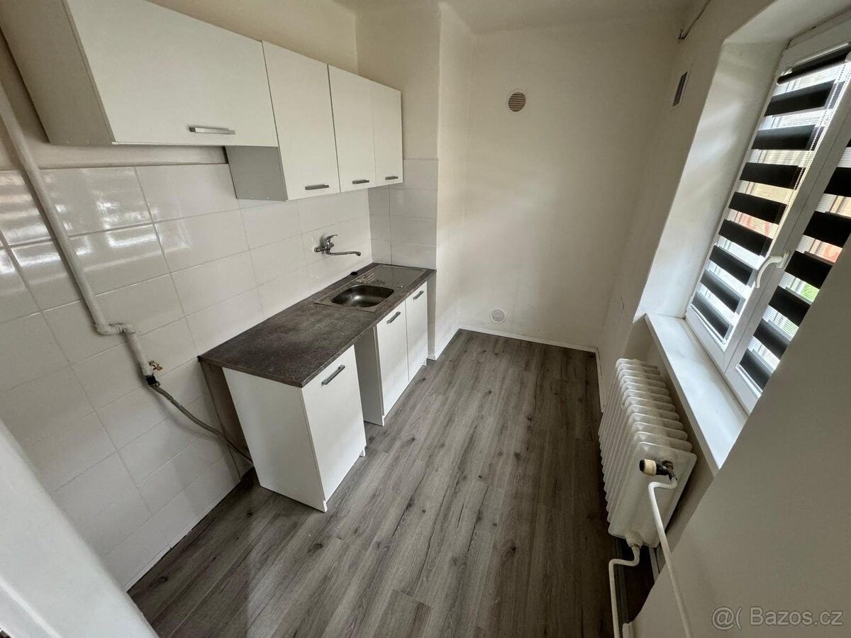 1+1, Meziboří u Litvínova, 435 13, 31 m²