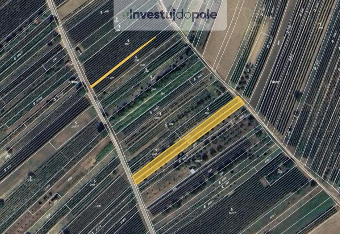 Zemědělské pozemky, Dolní Bojanovice, 1 330 m²