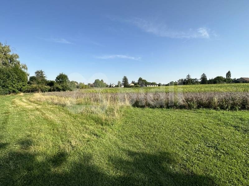 Pozemky pro bydlení, Dolní Bezděkov, 2 486 m²