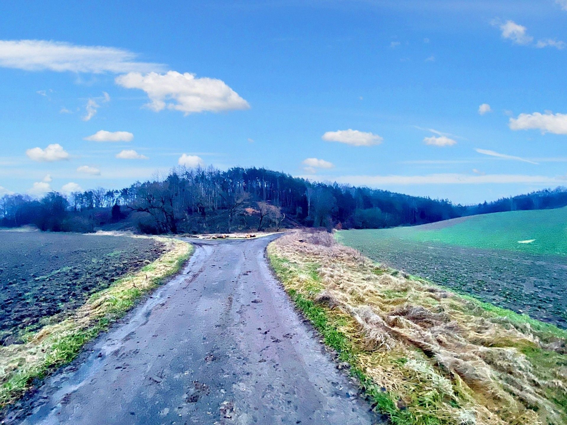 Louky, Snědovice, 6 886 m²