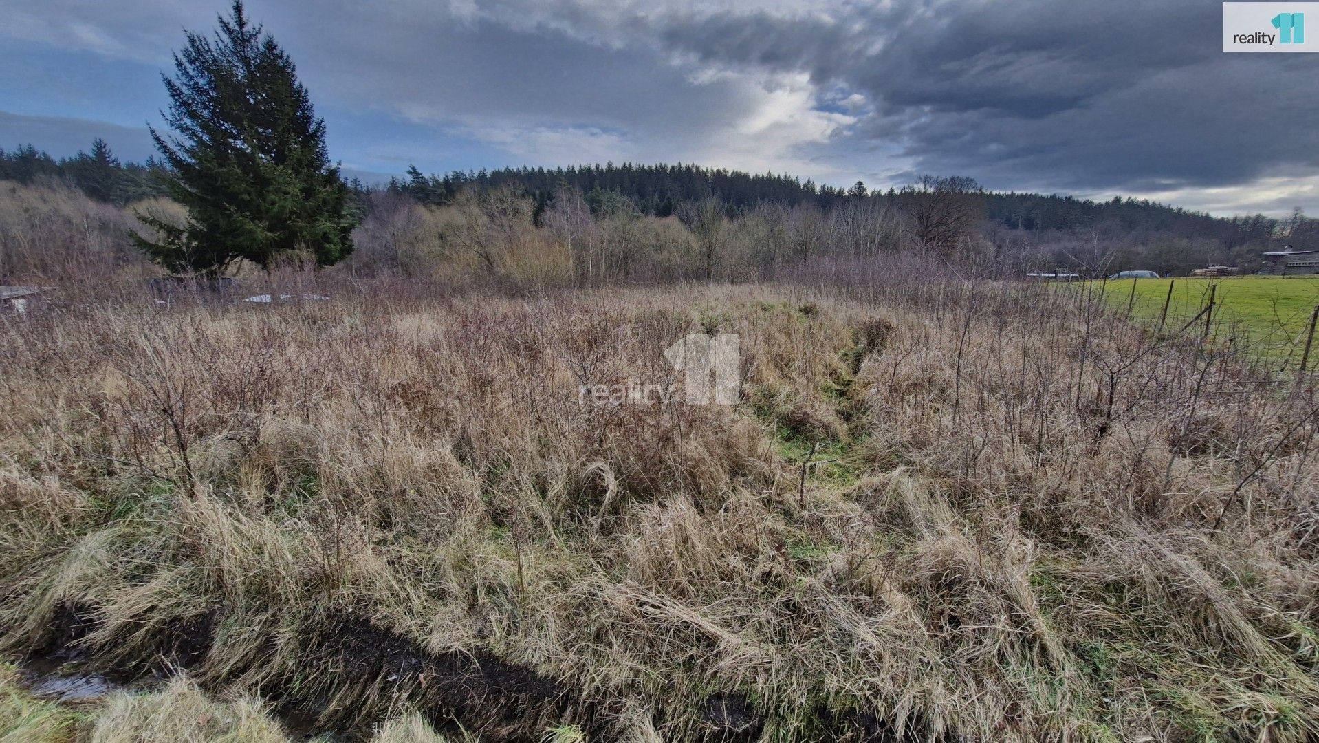 Prodej pozemek pro bydlení - Zlatá, Kynšperk nad Ohří, 2 983 m²