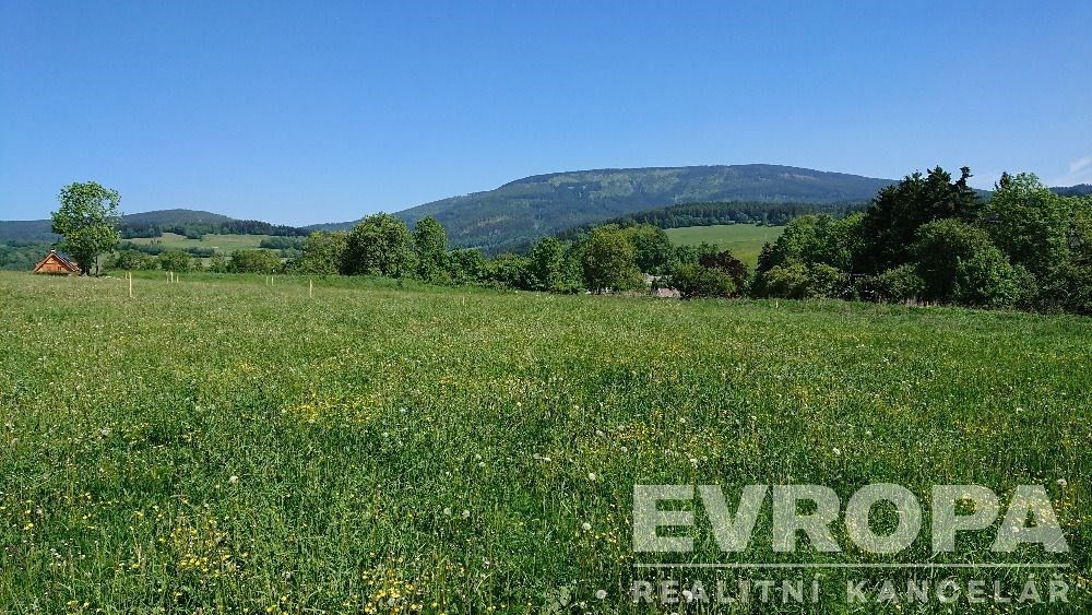 Pozemky pro bydlení, Černý Důl, 1 200 m²
