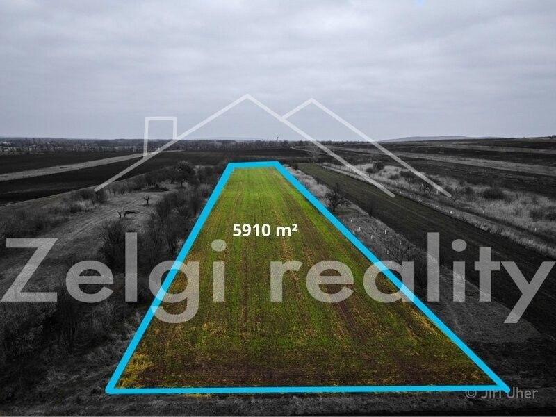 Zemědělské pozemky, Pasohlávky, 691 22, 5 910 m²