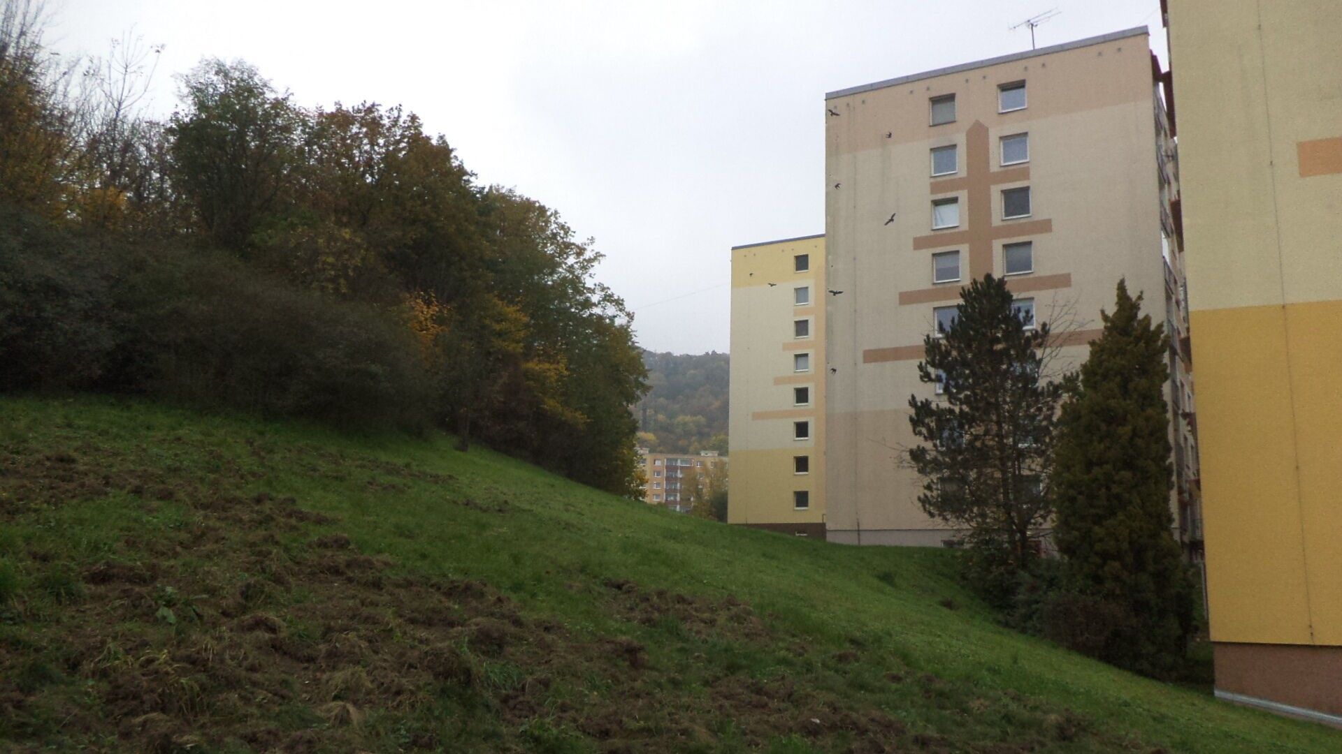 Ostatní, Mojžíř, Ústí nad Labem, 14 780 m²