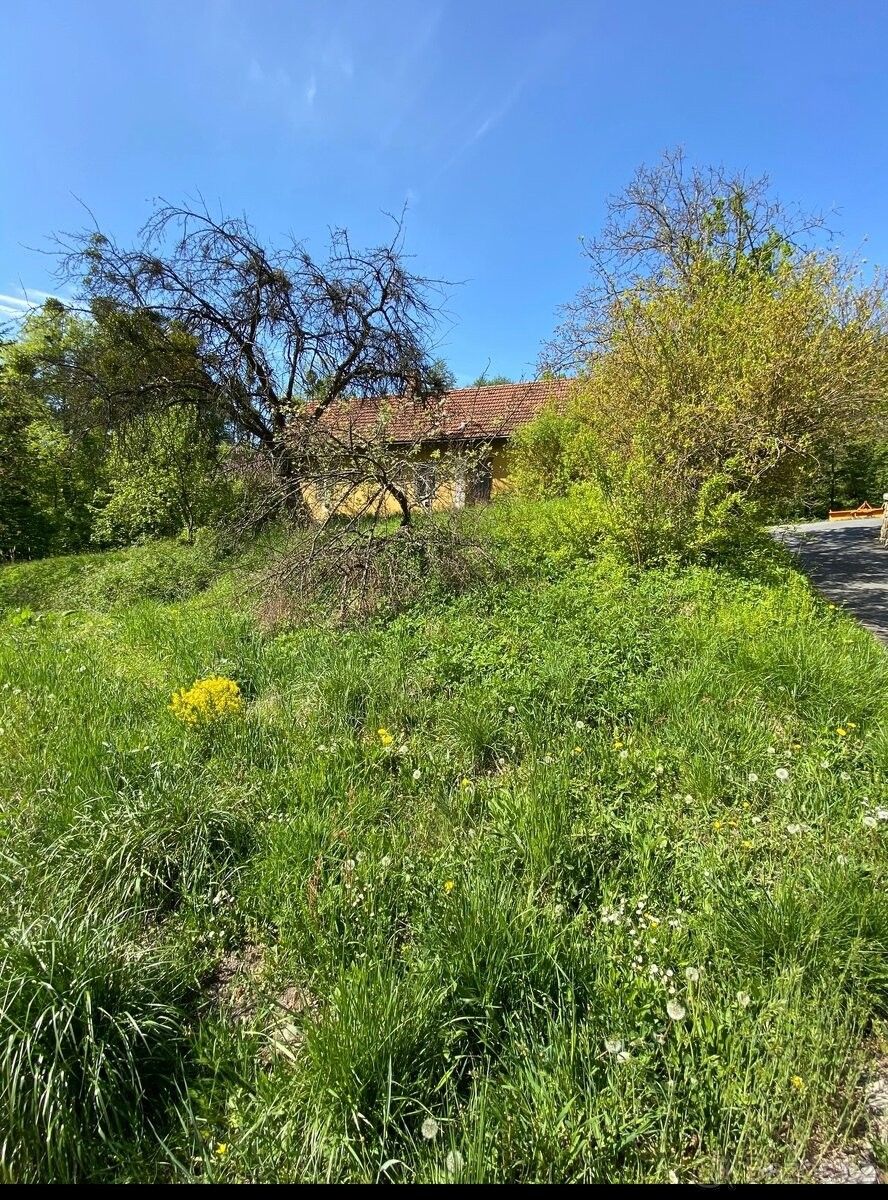 Prodej dům - Březůvky, 763 45, 1 173 m²