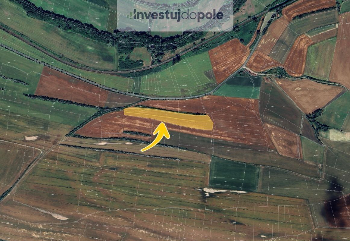 Prodej zemědělský pozemek - Čečelice, 9 638 m²