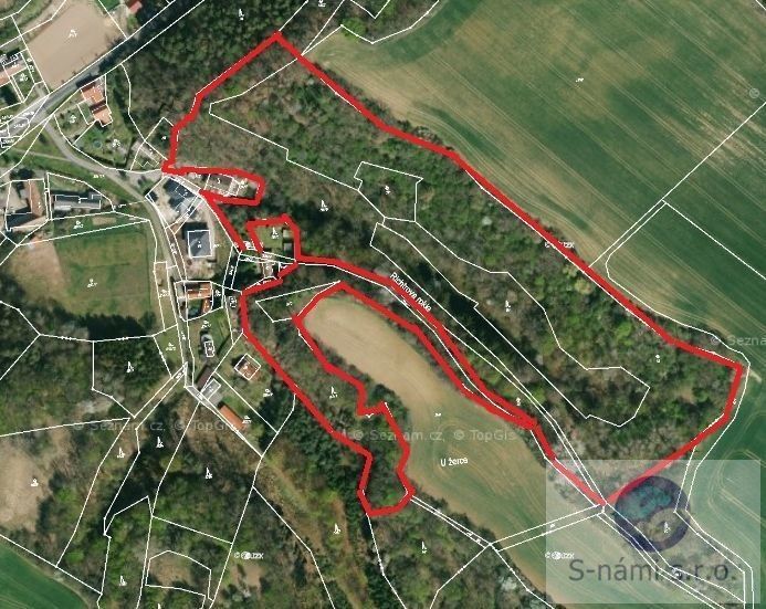 Lesy, Dolní Zimoř, 41 584 m²