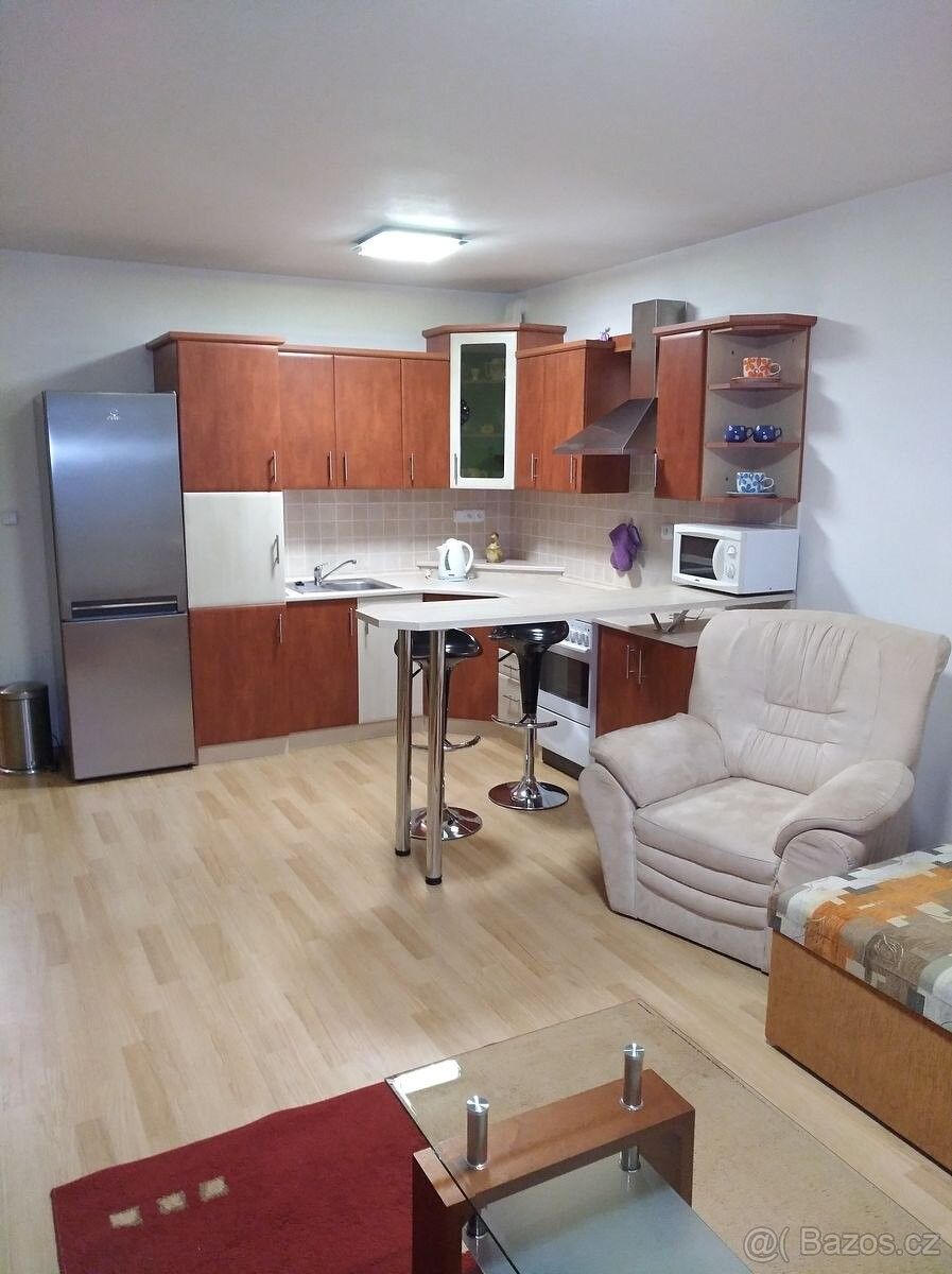 1+kk, Slavkov u Brna, 684 01, 38 m²