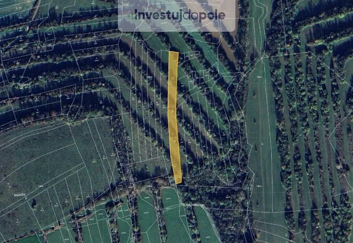 Ostatní, Boršice, 1 285 m²