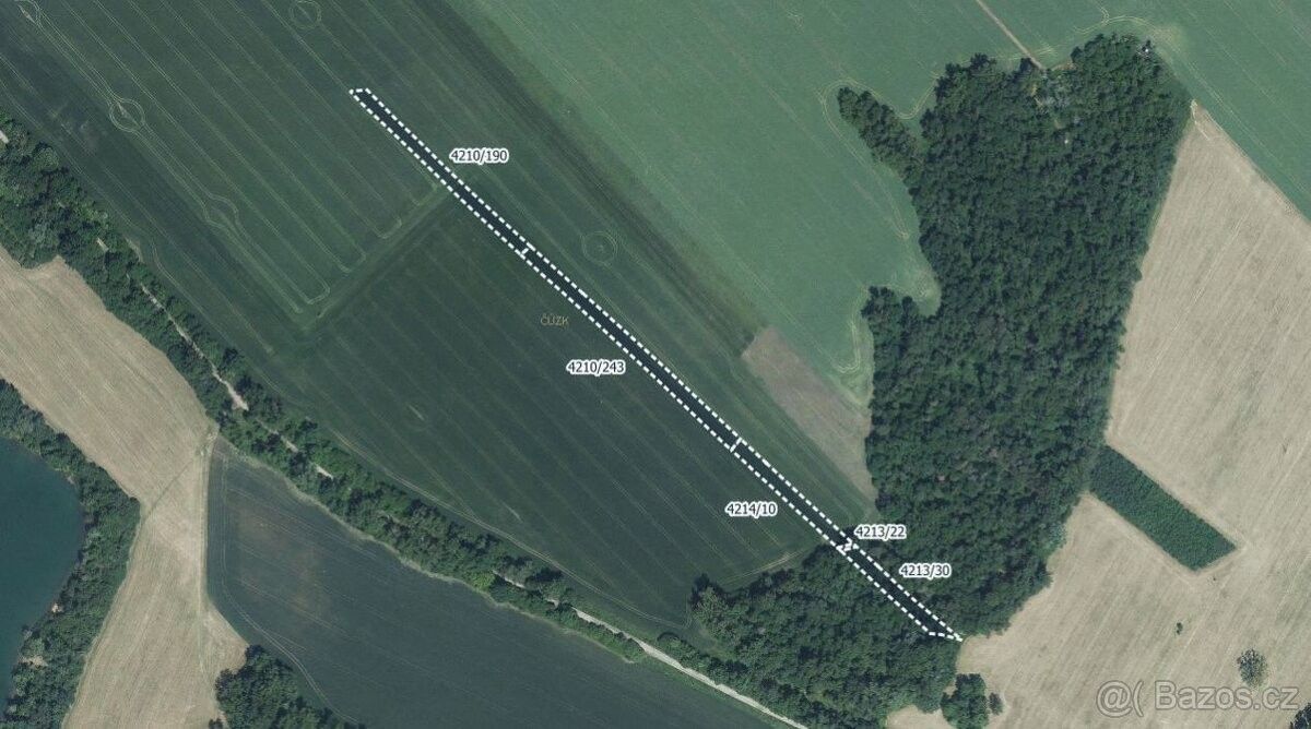 Zemědělské pozemky, Moravská Nová Ves, 691 55, 12 062 m²