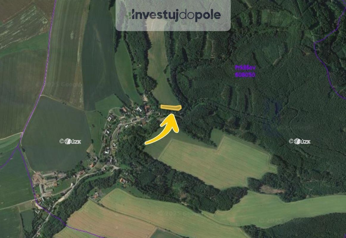 Prodej louka - Borušov, 2 793 m²