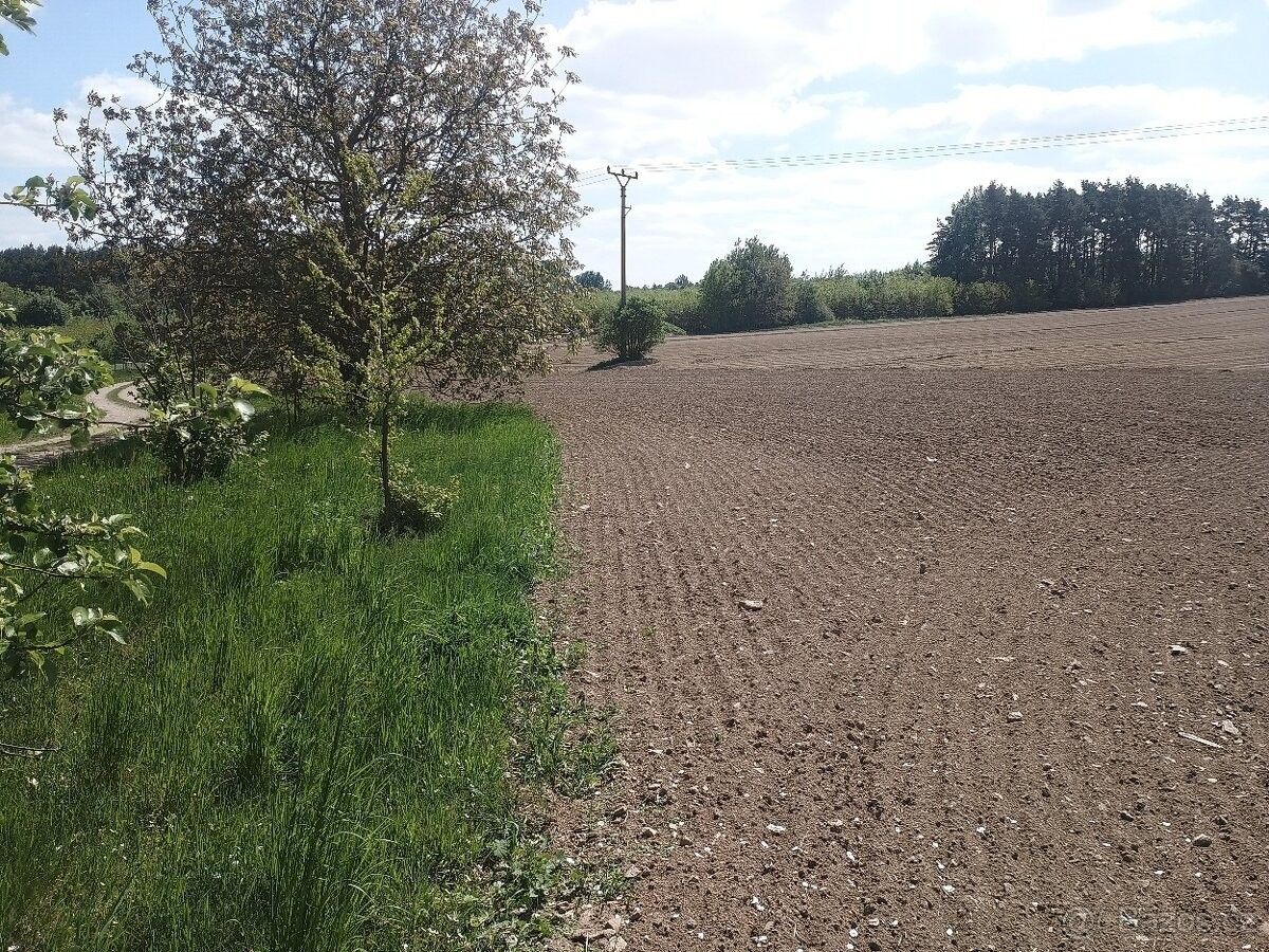 Prodej zahrada - Bernartice u Milevska, 398 43, 6 470 m²