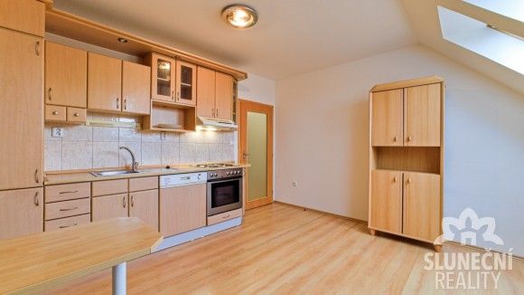 1+1, Staré Město u Uherského Hradiště, 686 03, 42 m²