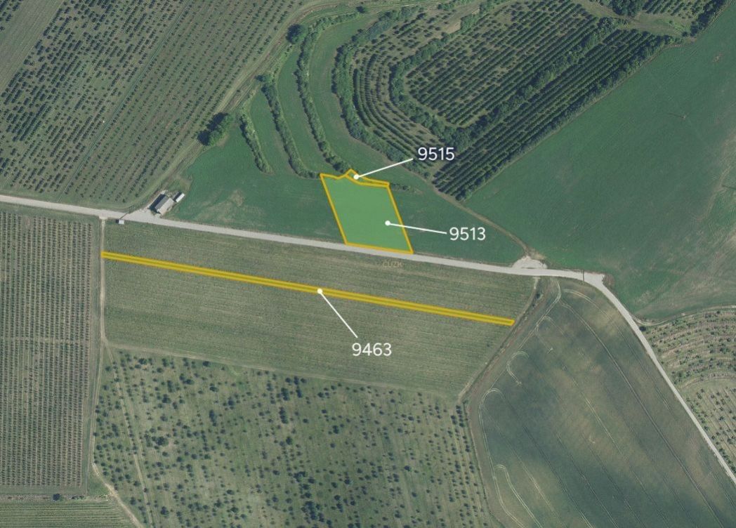 Zemědělské pozemky, Kobylí na Moravě, 691 10, 6 008 m²