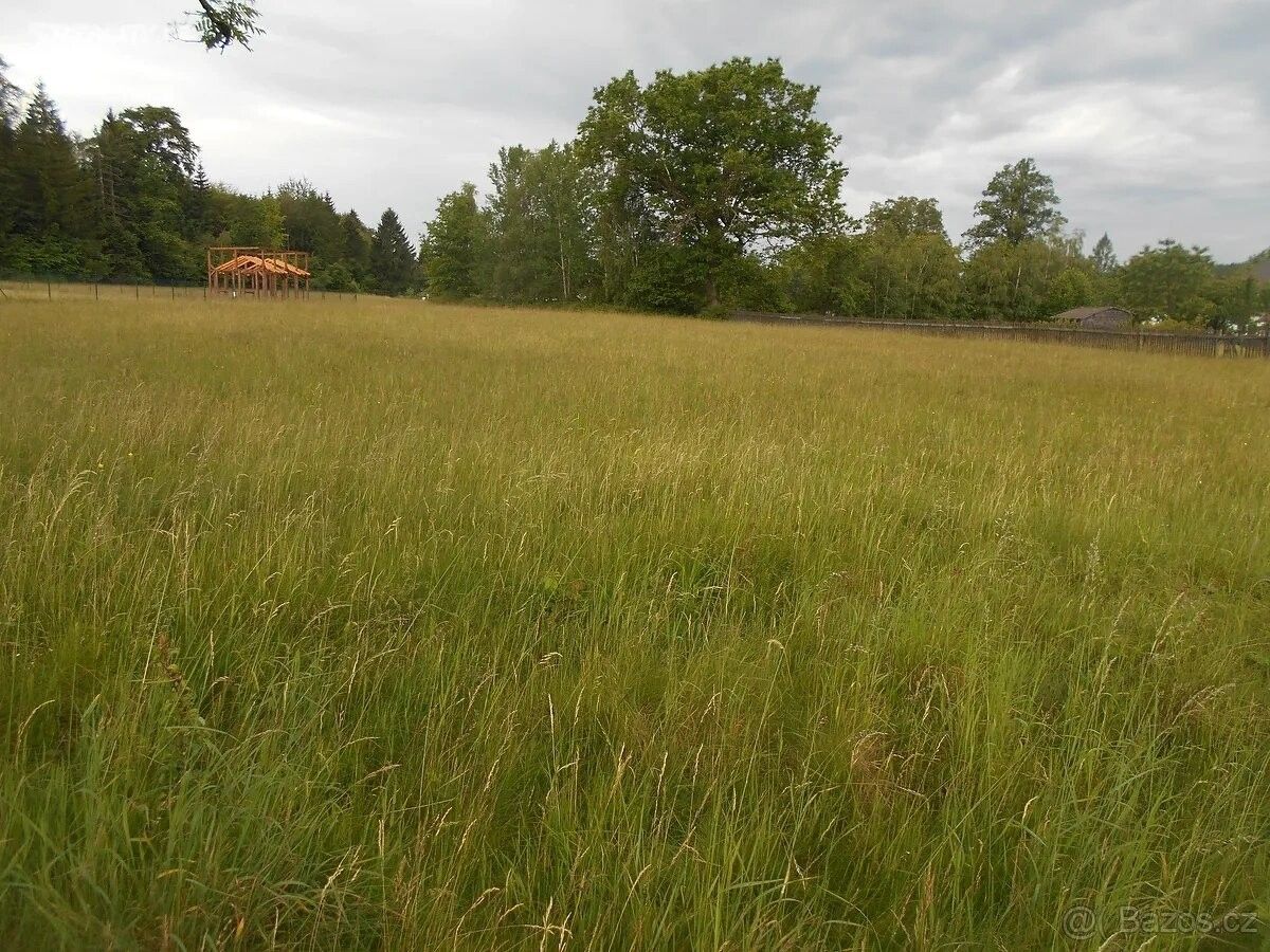 Prodej pozemek pro bydlení - Rybniště, 407 51, 5 199 m²