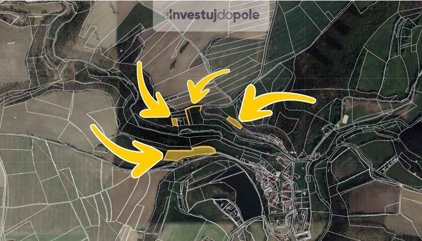 Prodej zemědělský pozemek - Malá Lečice, Bojanovice, 11 051 m²