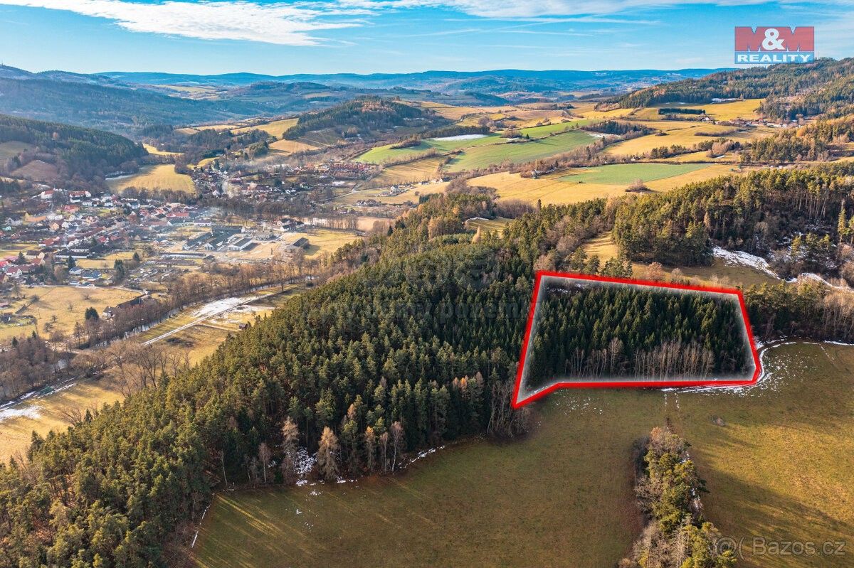 Prodej les - Volyně, 387 01, 51 224 m²
