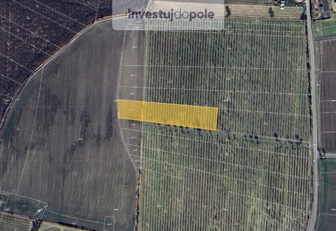 Ostatní, Soběnice, Liběšice, 6 302 m²