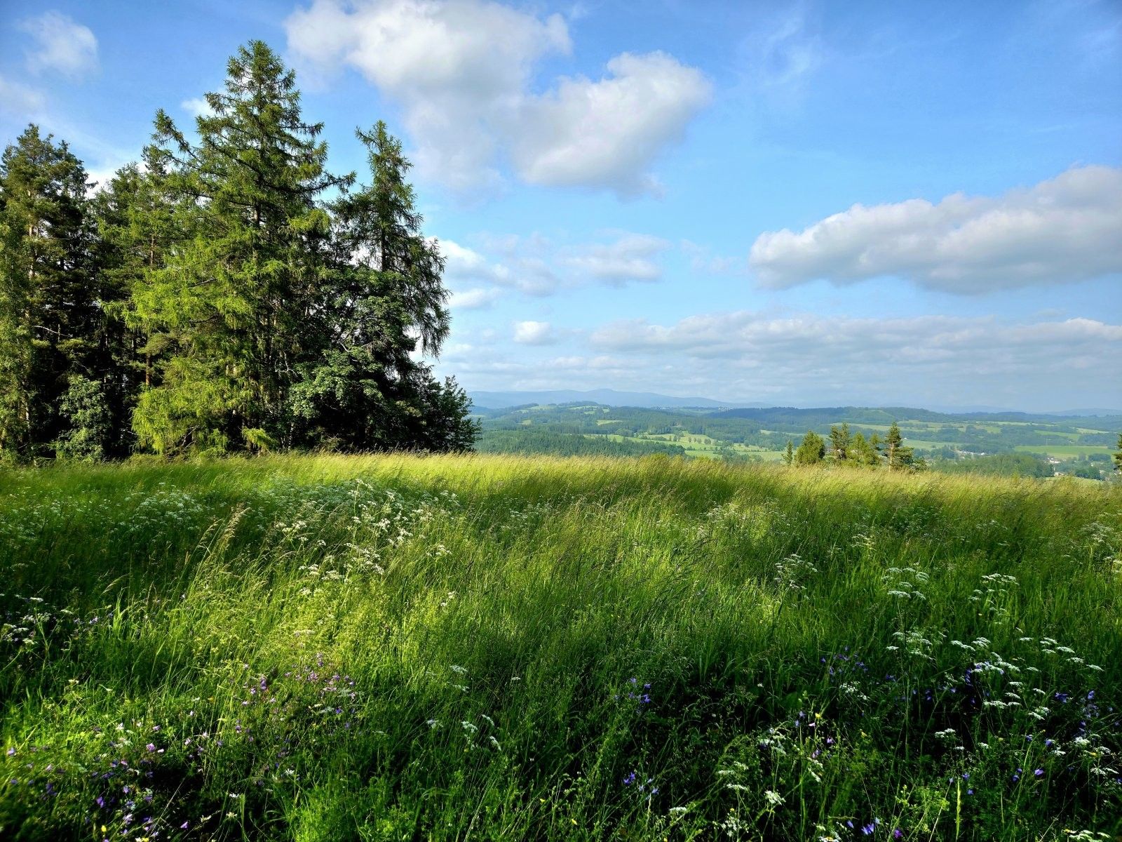 Louky, Vlastiboř, 10 451 m²