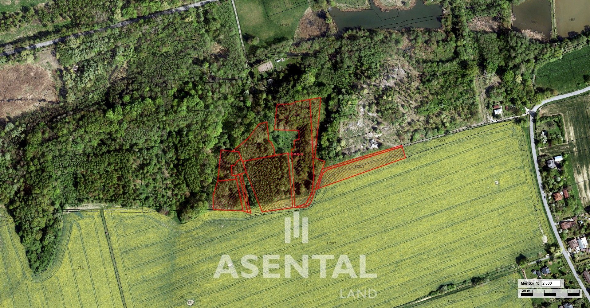 Lesy, Stonava, 26 749 m²