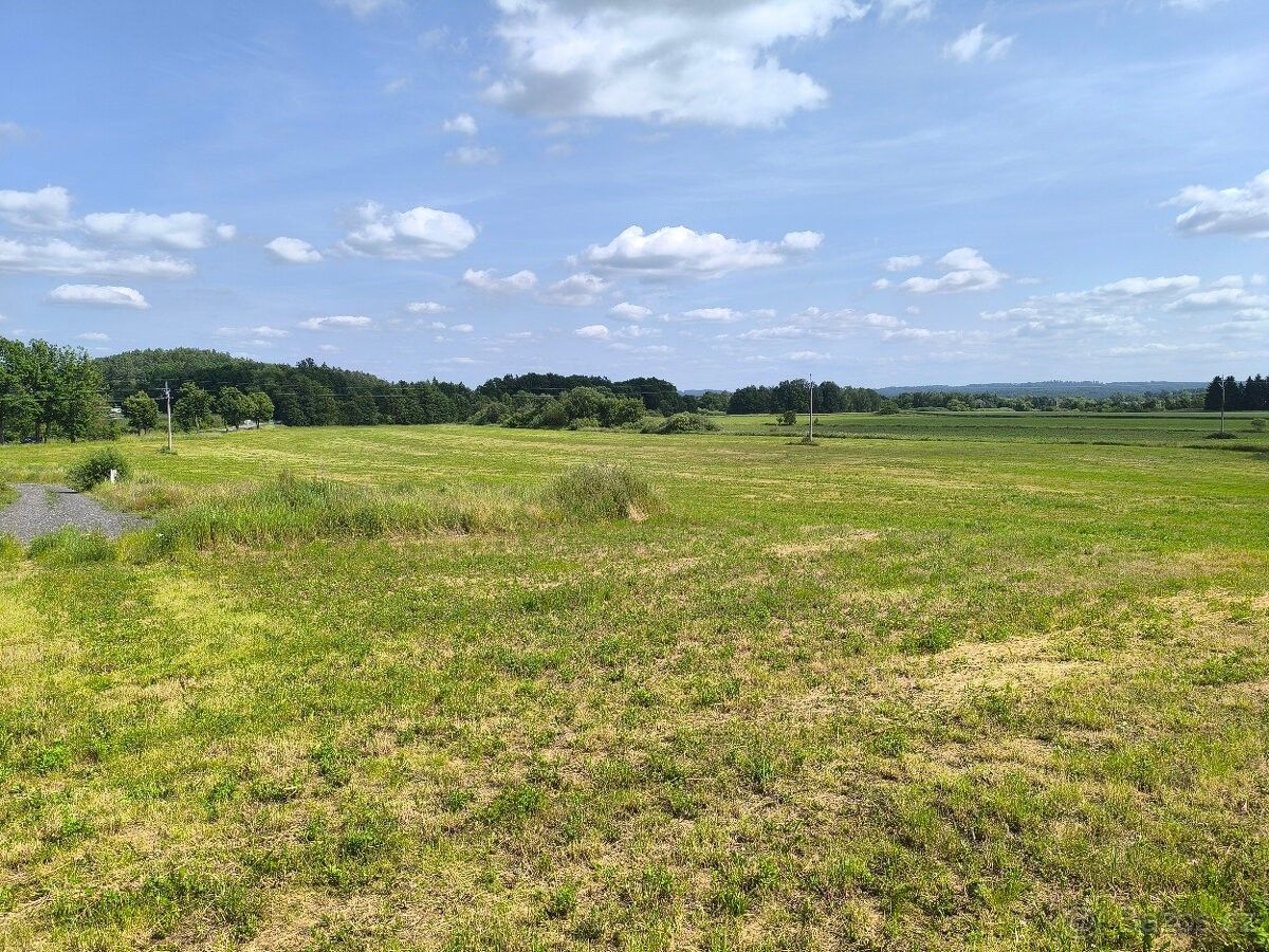 Pozemky pro bydlení, Blatná, 388 01, 1 834 m²