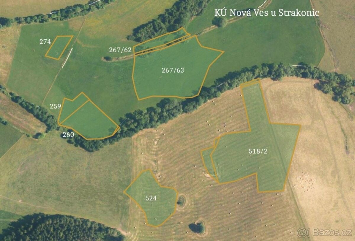 Prodej zemědělský pozemek - Čestice, 387 19, 27 596 m²