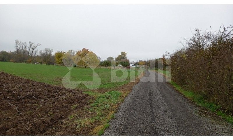 Prodej zemědělský pozemek - Rajhrad, 3 241 m²