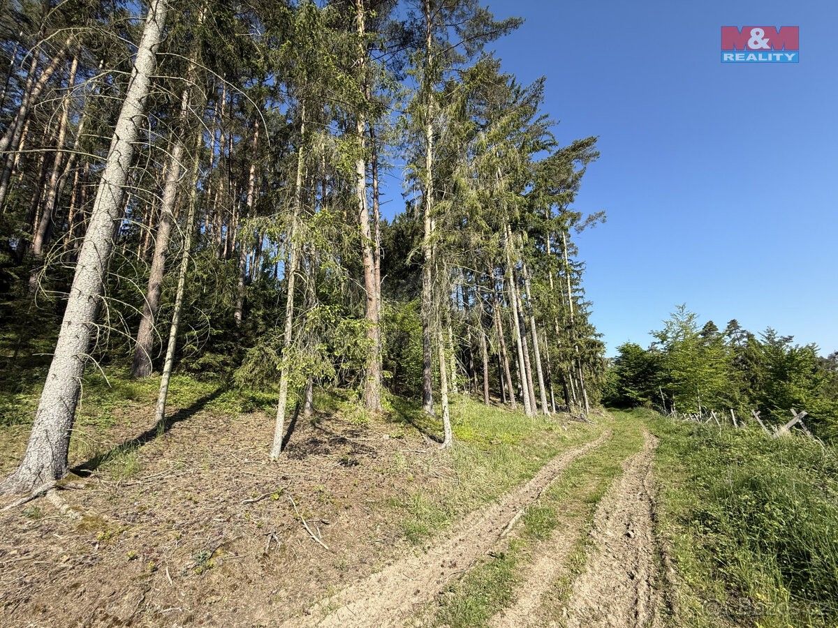 Lesy, Krásná Hora nad Vltavou, 262 56, 23 184 m²