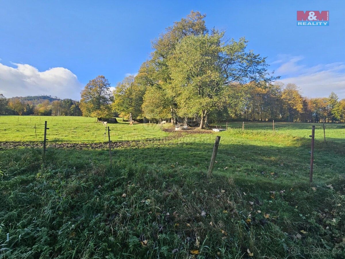 Prodej pozemek - Zlaté Hory v Jeseníkách, 793 76, 2 133 m²