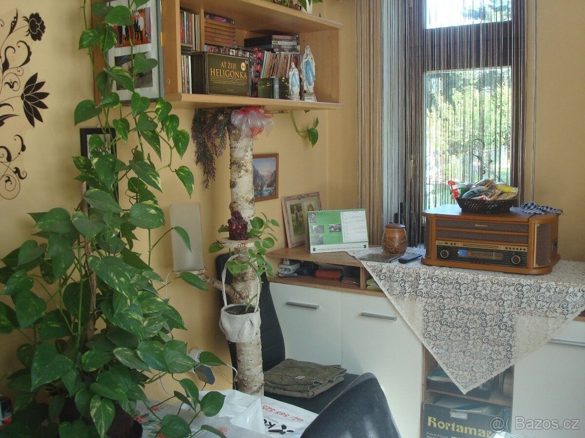 Prodej pozemek - Horní Dvořiště, 382 93, 1 300 m²