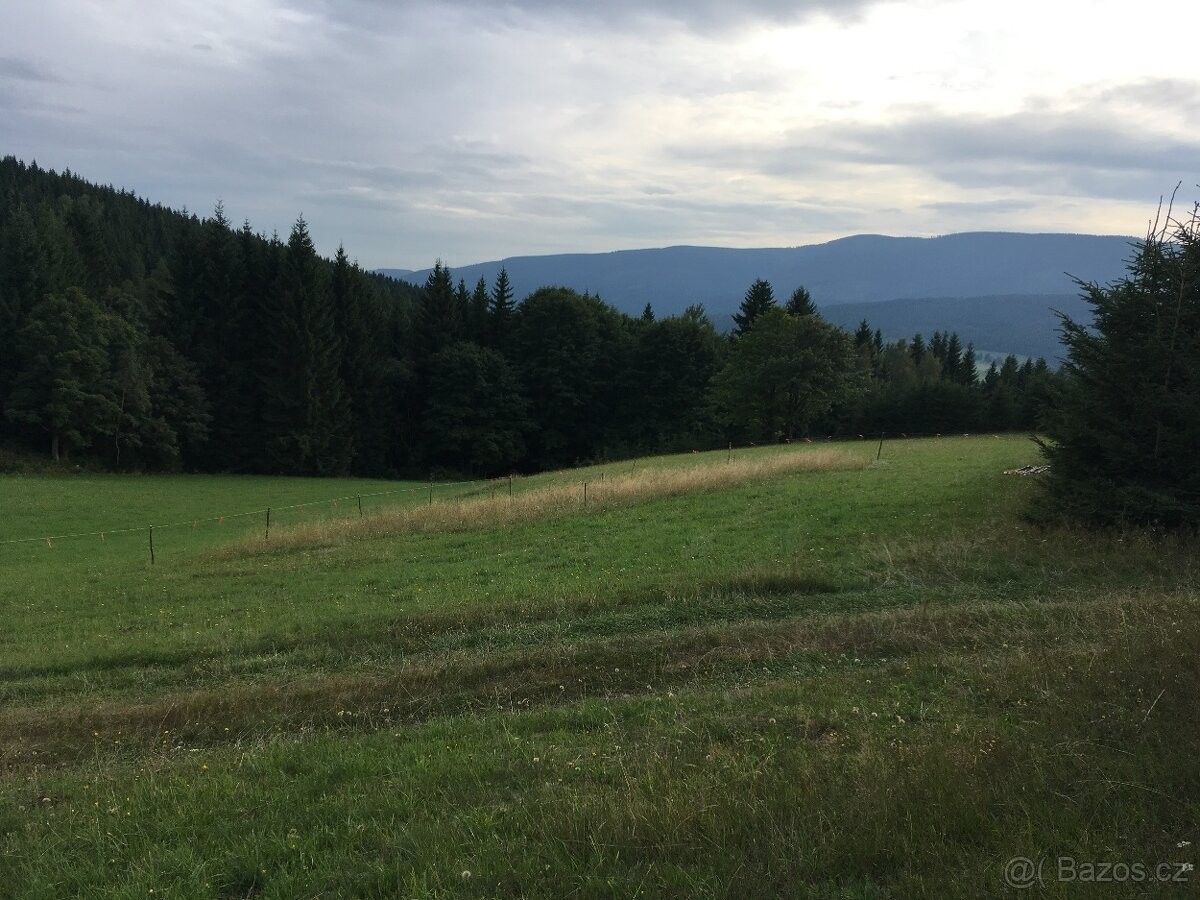 Prodej pozemek - Staré Město pod Sněžníkem, 788 32, 11 321 m²