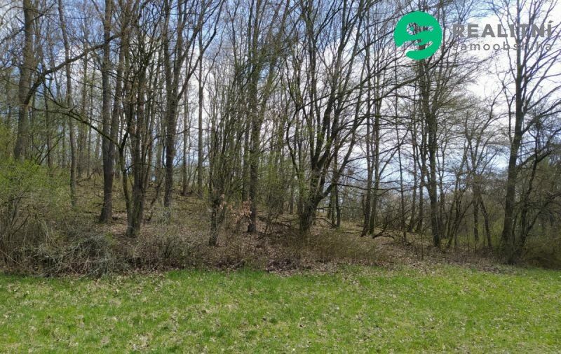 Prodej pozemek - Hradčovice, 687 33, 2 172 m²