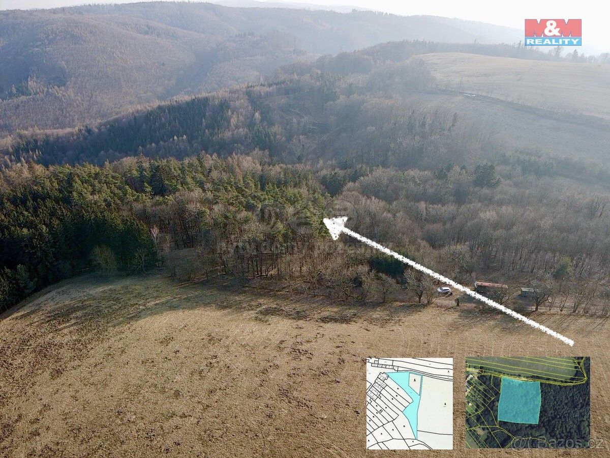 Lesy, Moravská Třebová, 571 01, 81 768 m²