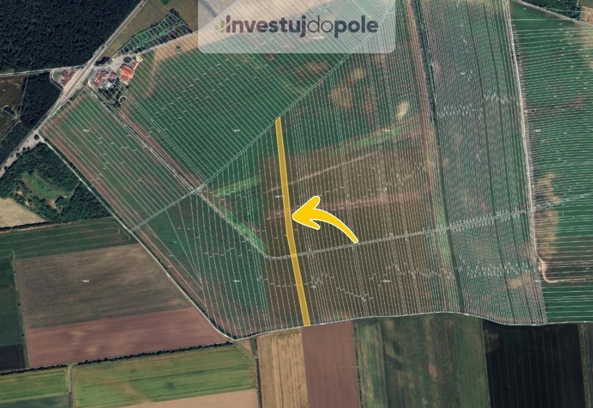 Prodej zemědělský pozemek - Poštorná, Břeclav, 8 042 m²