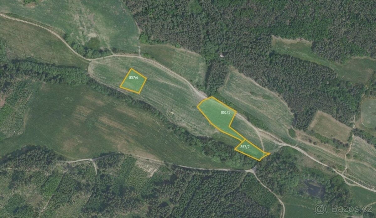 Prodej les - Dobříš, 263 01